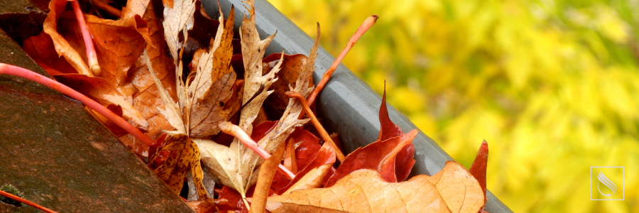 ’Tis the Season for Seasonal Maintenance