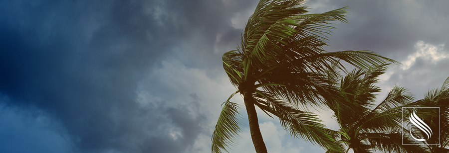 The Top 10 Perils and How You Can Be Prepared